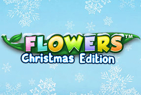 Flowers Christmas