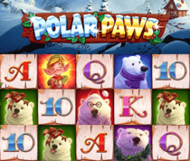 Polar Paws