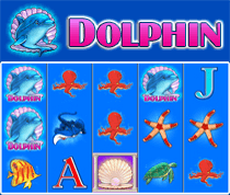 Dolphin