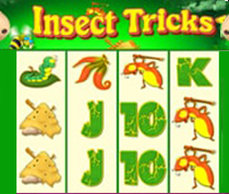 Insect Tricks