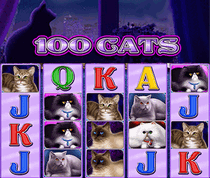 100 Cats